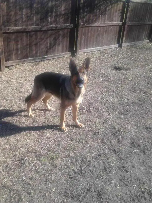 VP 3 Averi von der deutschen Einheit