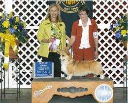 Dogwood Moonwalking Party Girl