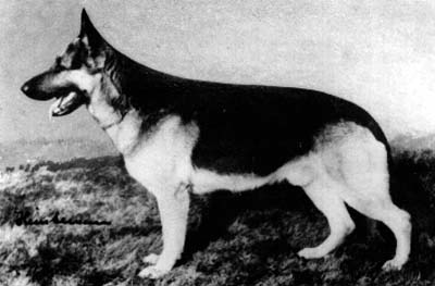 VA4 Roon zu den Sieben-Faulen