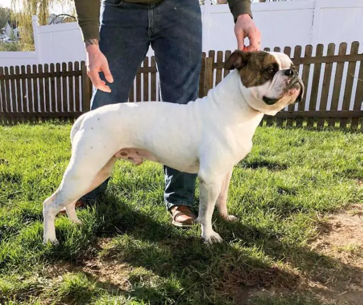 HTK's Monster of the Midway