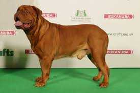 IMK CASSIUS CLAY MDM