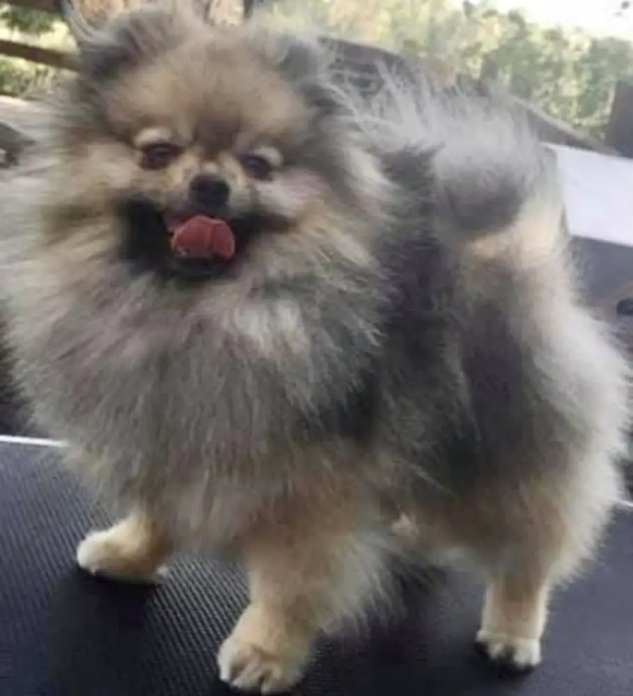 RIVEIRAS ROLL OF THUNDER