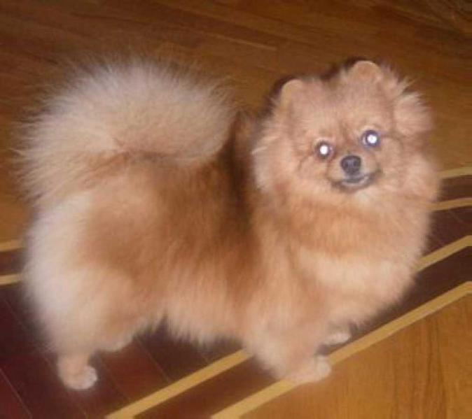 Eralash Ekaterina Velikaya Zariza