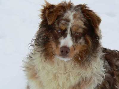 Spinoff Cry Me A River