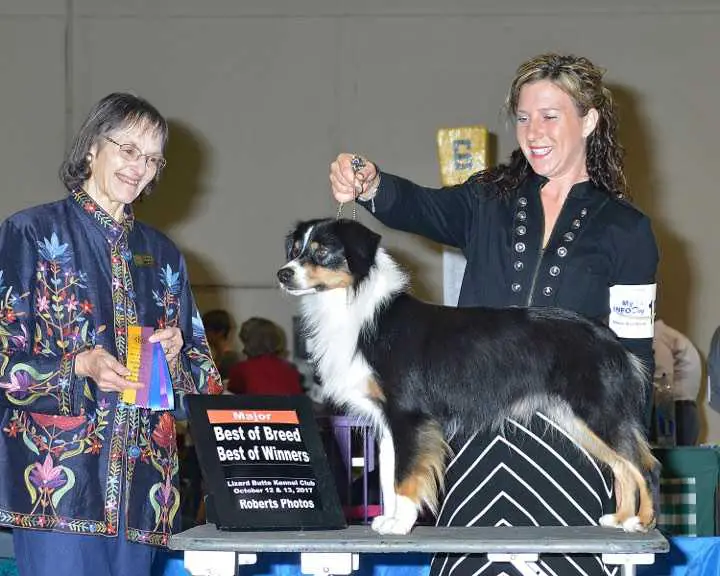 Teacup Treasures Keepin The Cash