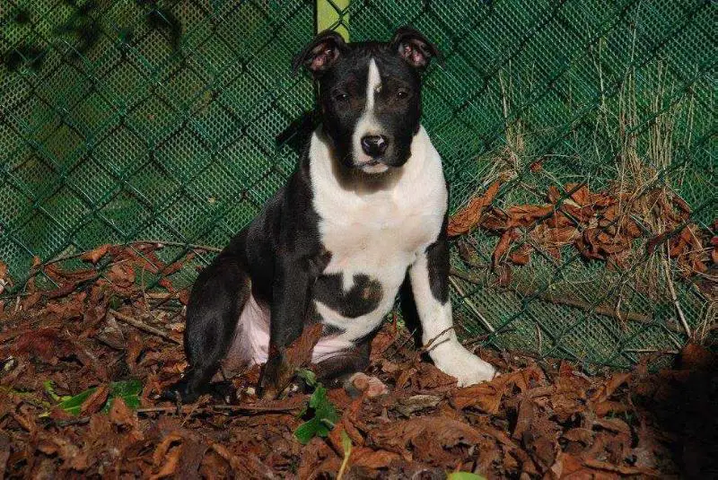 Jean Grey Tacoma De La Missaudiere