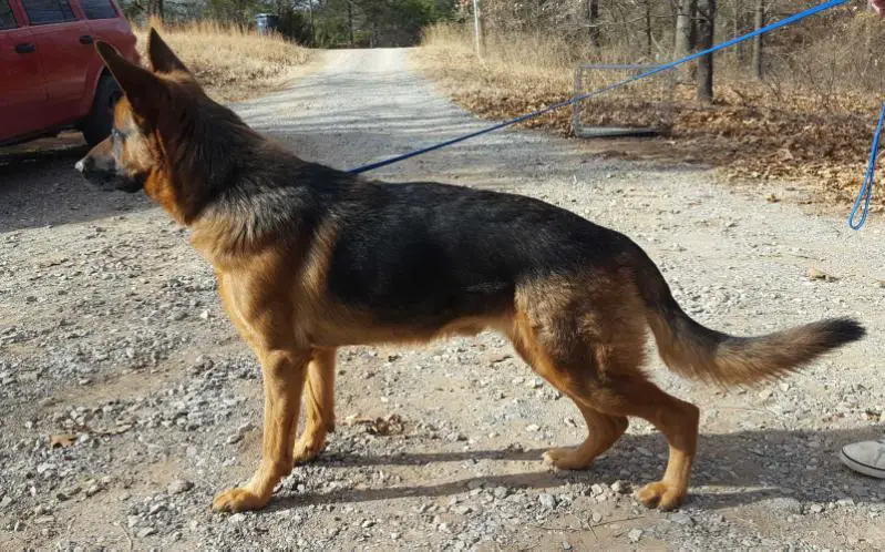 Connor Vom Haus Berg