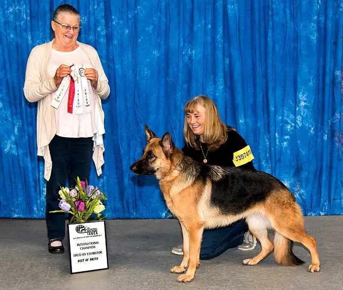 Redwood Run's Rubemagirl Vom Schmidtenhausen