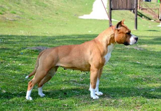 One Million Kisses Highway Chile