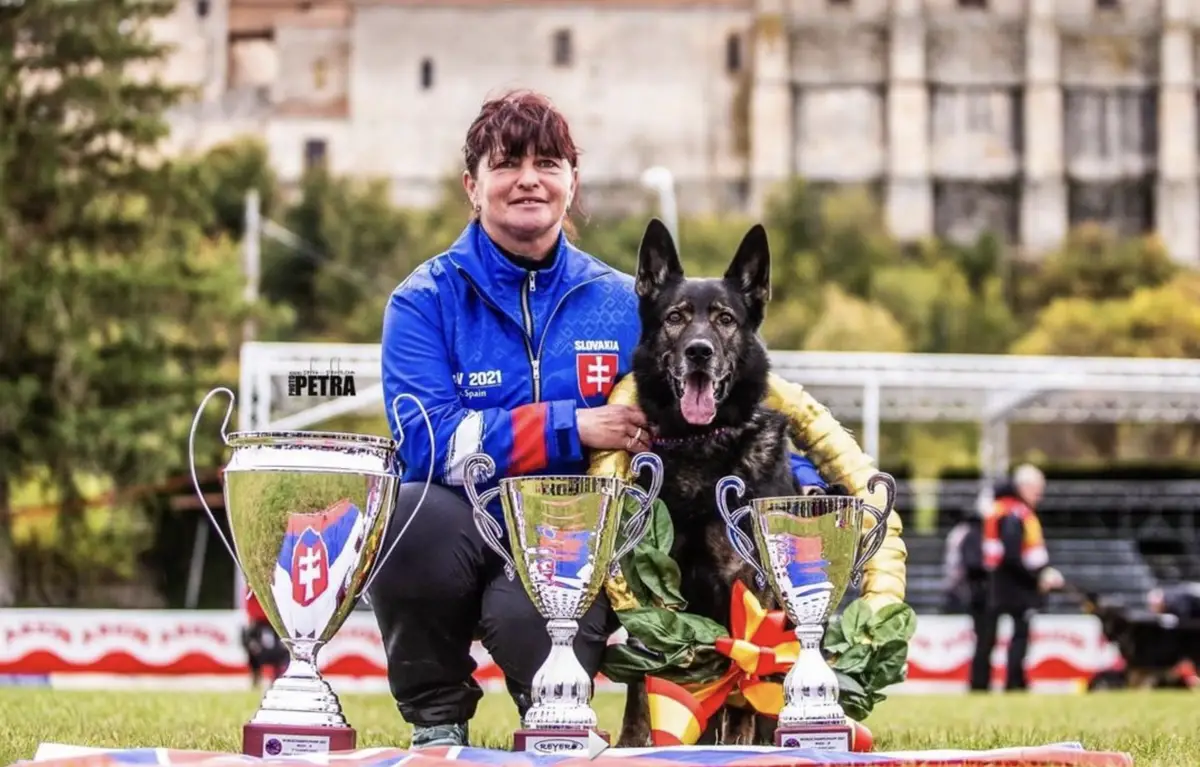 Gero z Berounske basty