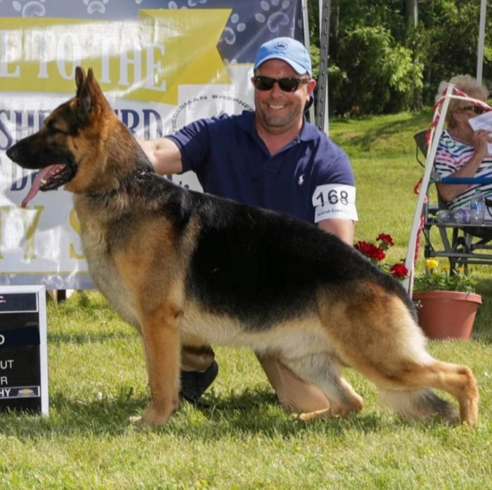 Select Excellent GCHB TRJ's Johnny Walker Red v Luzak