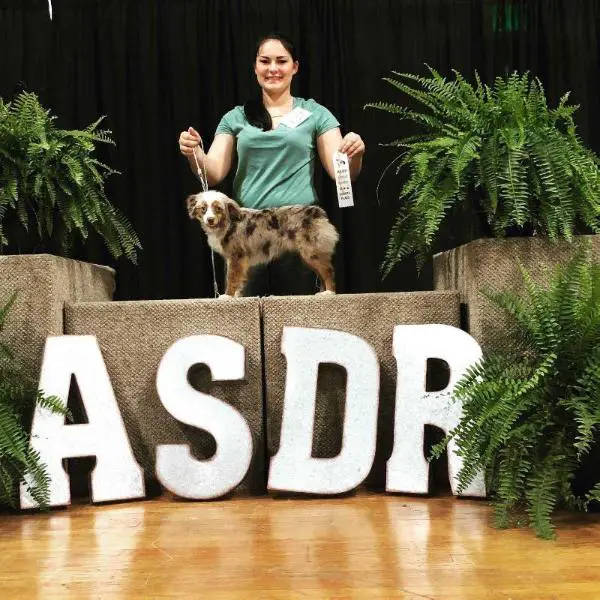 EGr. CH. SPRING CREEK'S LIL RED ROSE