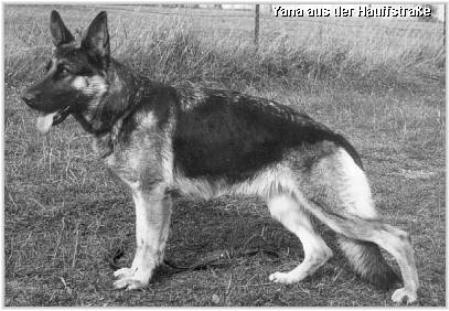 V Yana aus der Hauffstraße