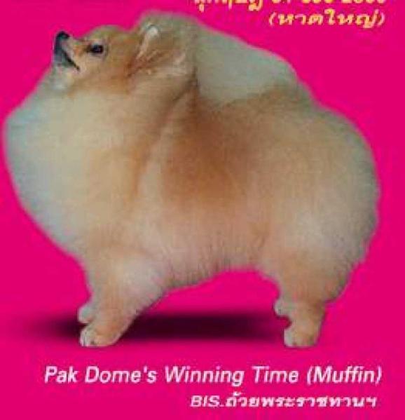 Pak Dome's Winning Time