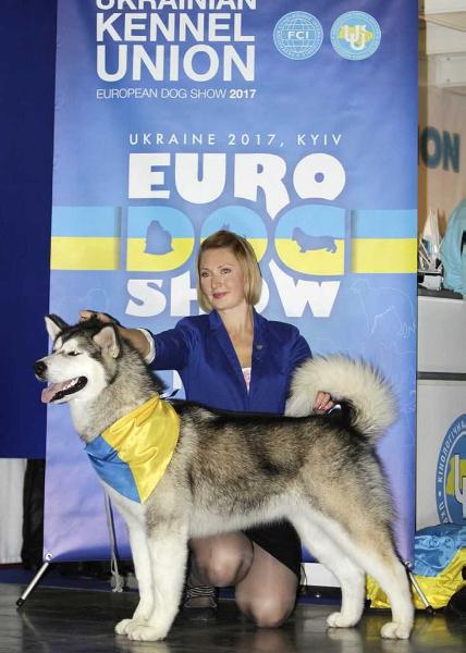 Europian JW`14 JCh Ukraine, Czech, CH Ukraine, Lithuania PANDORA VASILYEV OSTROV
