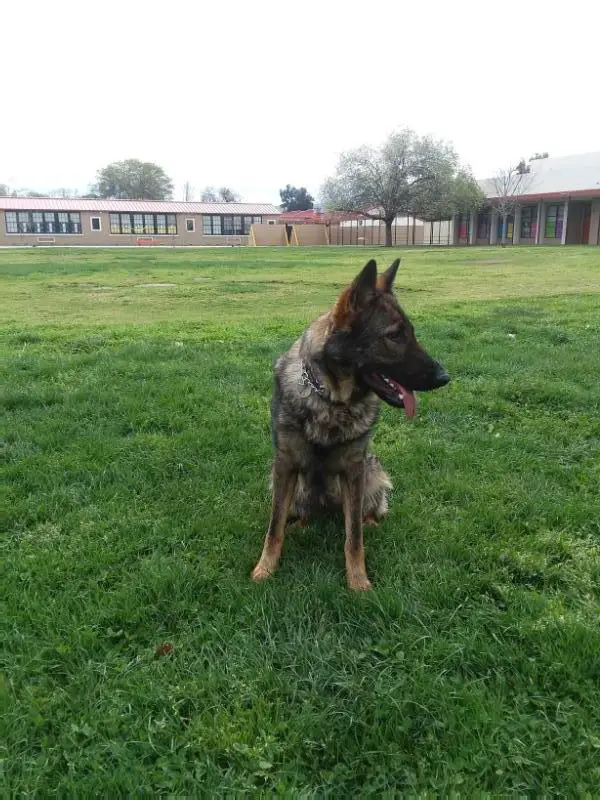 Princess Mika Of Lambeau Field