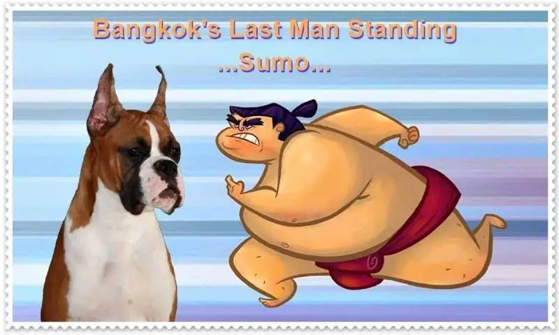 Bangkok's Last Man Standing