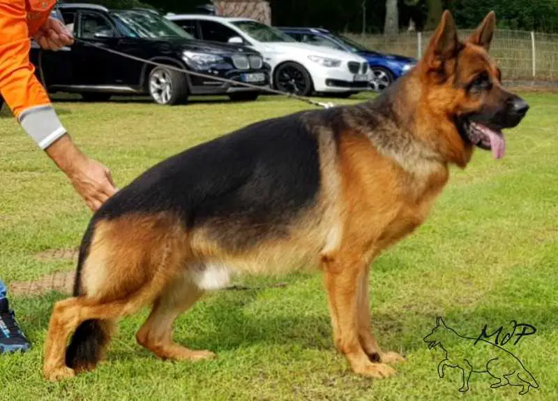 LIEBER DI CASA BEGGIATO