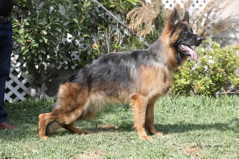 Sadie Von Mon'Set