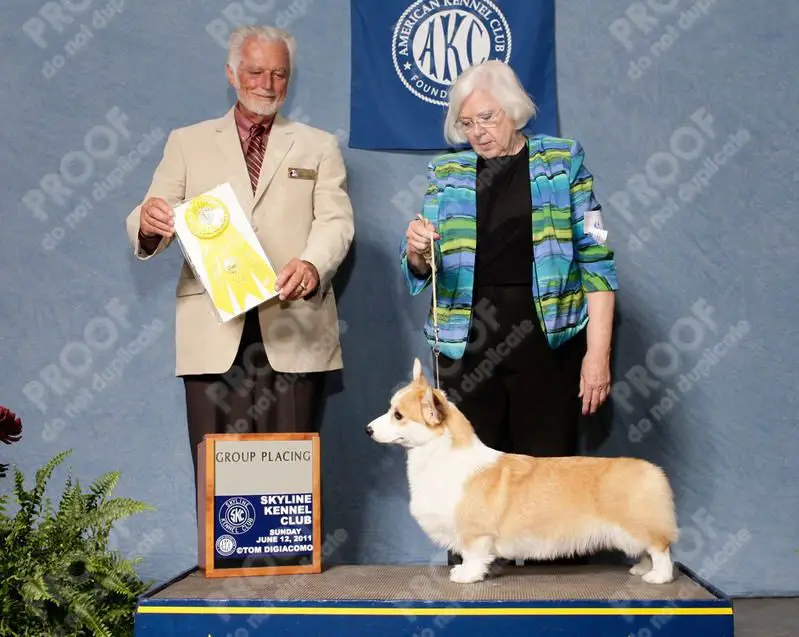 HiFive Full Dance Card