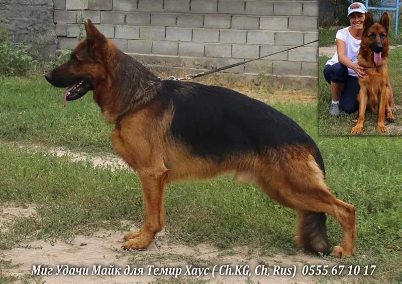 CH KG, RUS MIG UDACHI MARSHAL MAKE