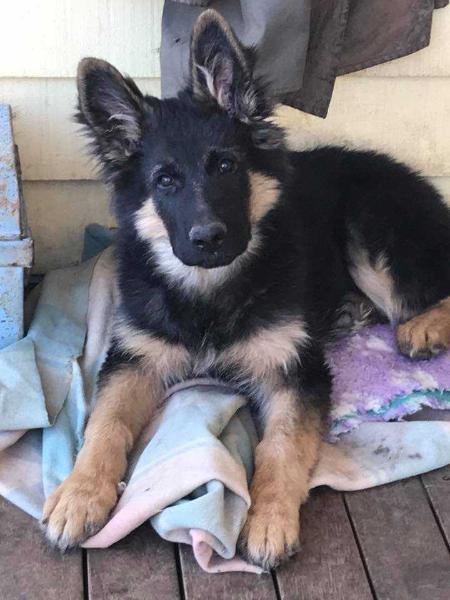 Vomambach Beam Me Up