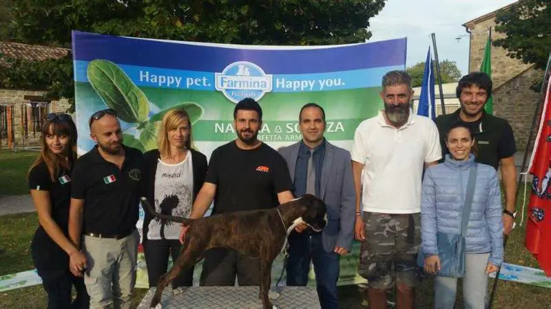 JCH BCI Jara De Kappabox