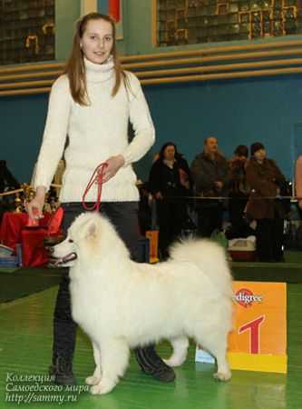 Beloe Chudo Laplandiya