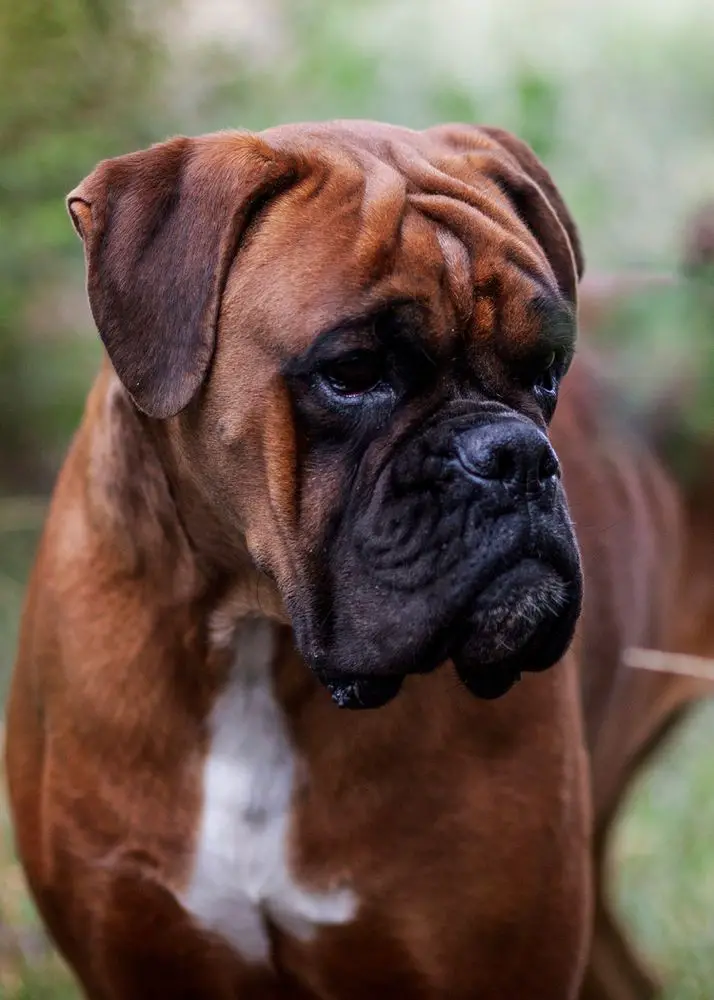 RUMOR HAS IT VON GALAXY BOX