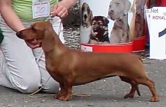 DLINNAYA KRASOTKA IZ T'AKS LAND