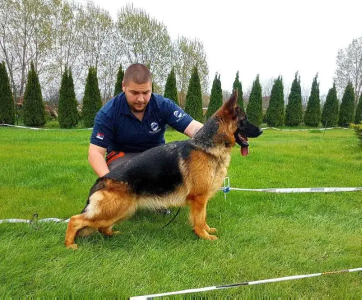 Jovana von Der Jugprom