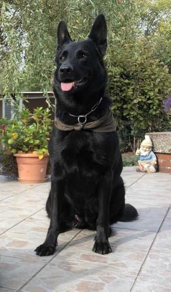 G Angie vom Haus Tannenwäldchen