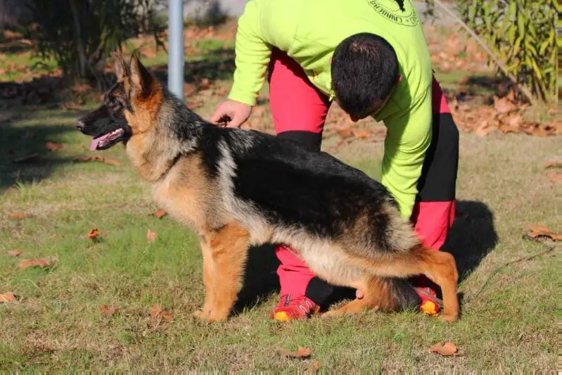 Rita vom Frankengold