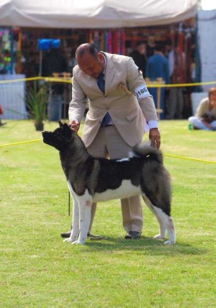 Ix-Chel Deloya (Rodriguez)