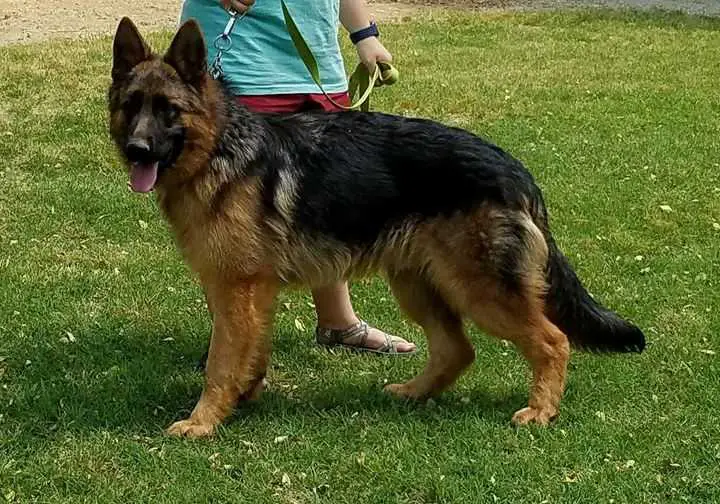 Cruz vom Rogers Haus