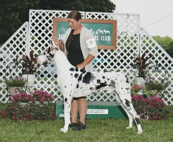 Breken's Hercules Thunder Storm