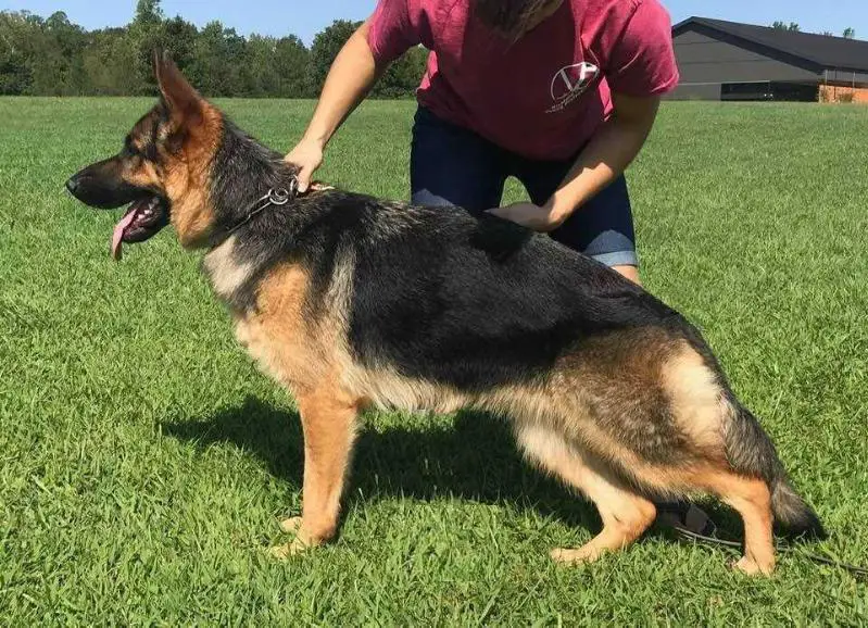 Quanta Vom Givenhaus