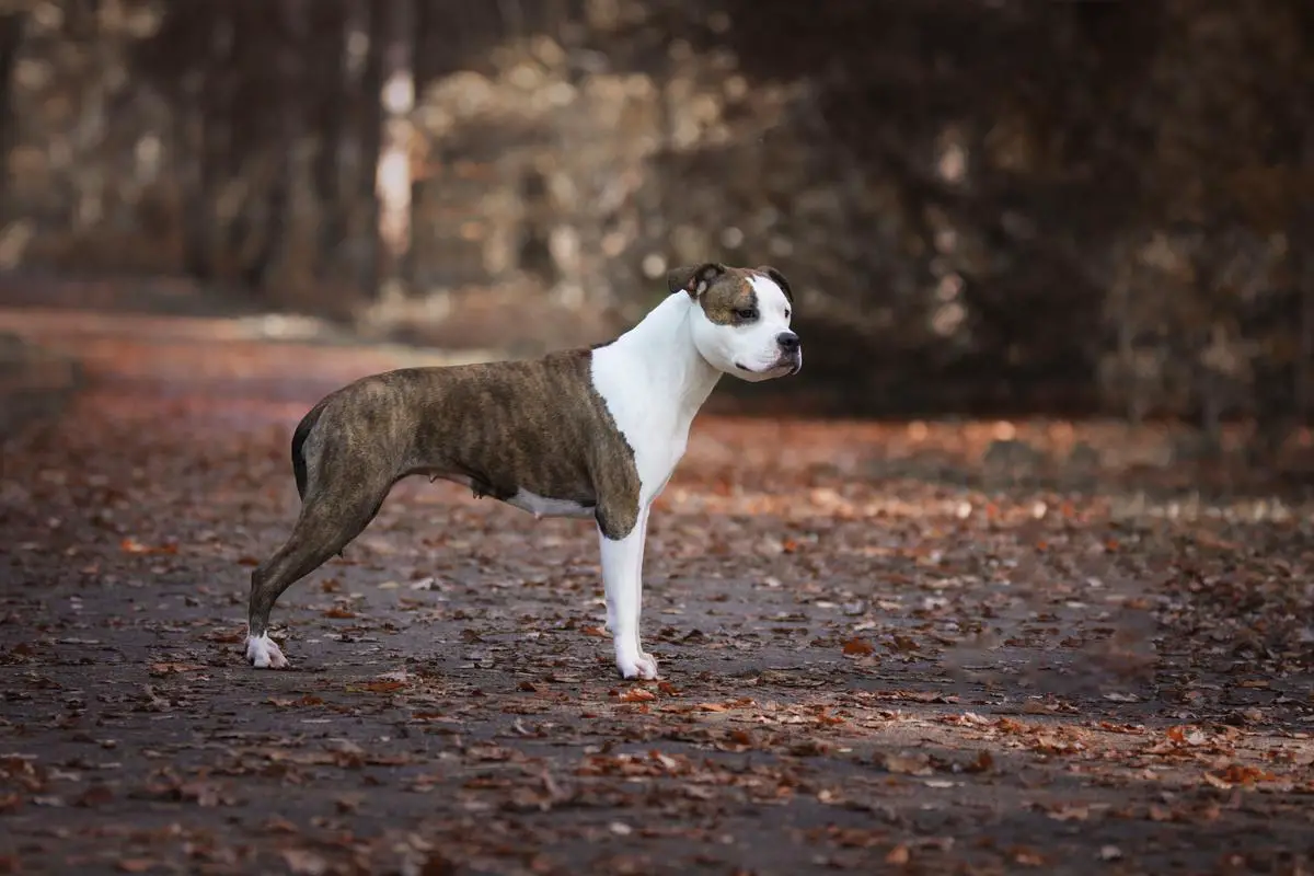 Be My Valentine From Nature's Finest