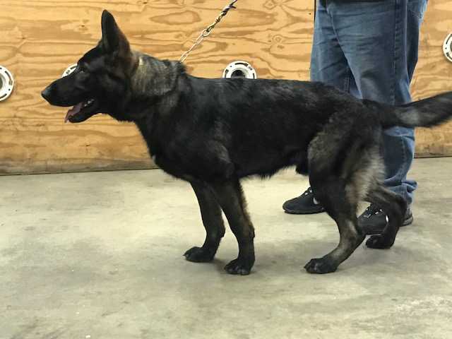 NOXX Z JIRKOVA DVORA