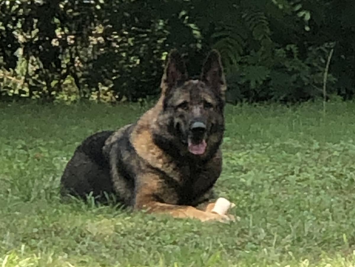 Von Der Deutschen Einheit