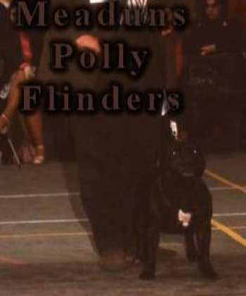 Ch Meaduns Polly Flinders