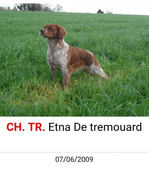 CH.TR. ETNA de Tremouard