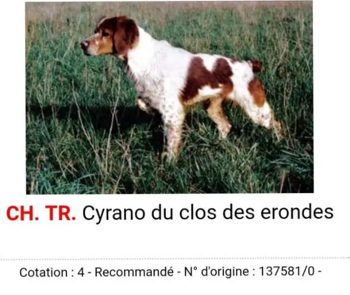 CYRANO du clos des erondes