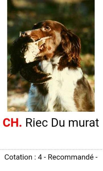 ChFCS RIEC du murat