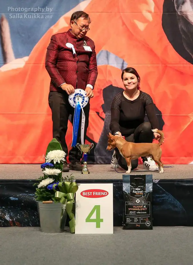 CIB.Multi. Ch.WW.EW. EXIMUS VIS ICE CUBE