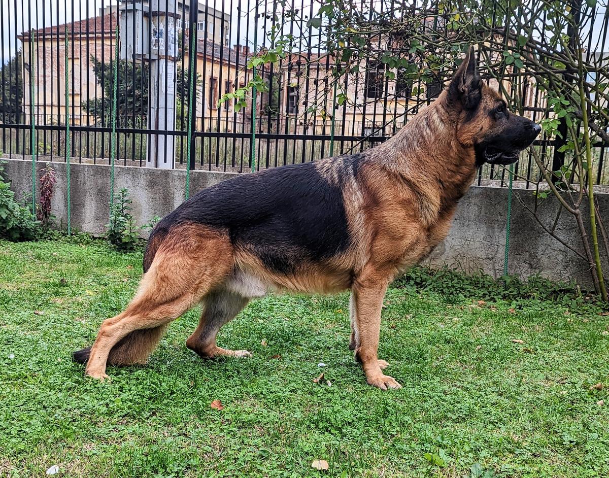 Bars von Artanes Haus