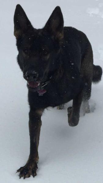 Una Rieka Von Nordosten