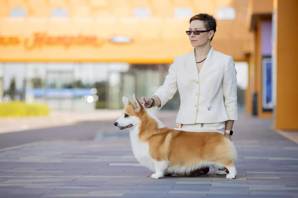 Mistycor Blessed Be Your Name