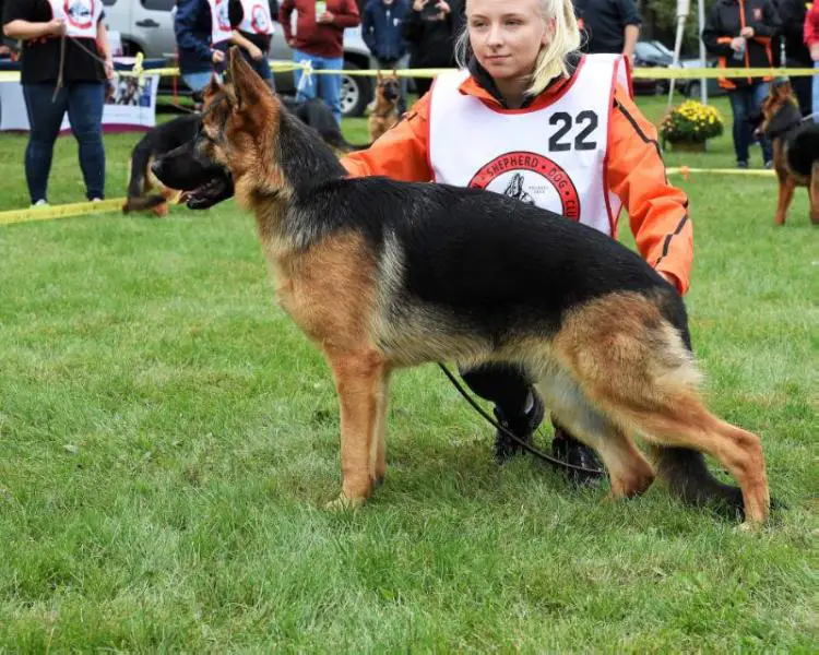 VP3 USA 2018 Cindy von der Bucht