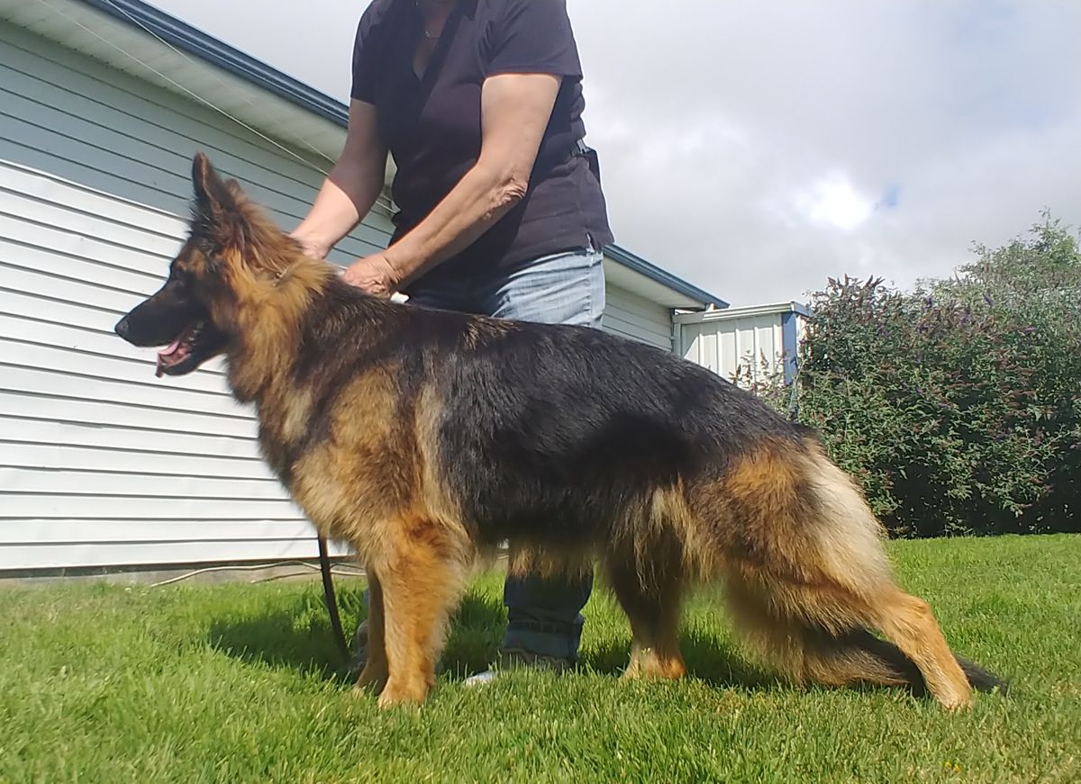 Queen Elsa V Alpine Valley